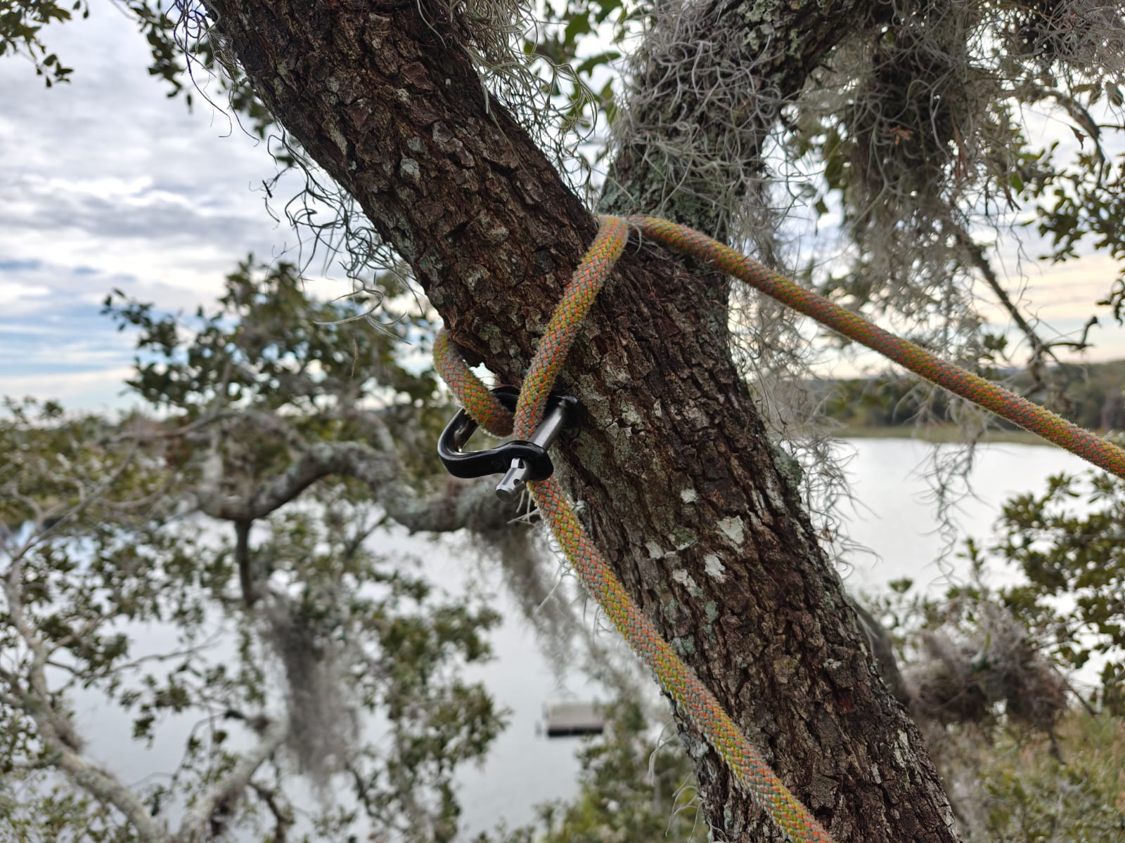The Notch Quickie steel connector is a compact, CE-certified anchor and redirect device for arborists and climbers. Half the size of a carabiner — strong, safe, and versatile. 9