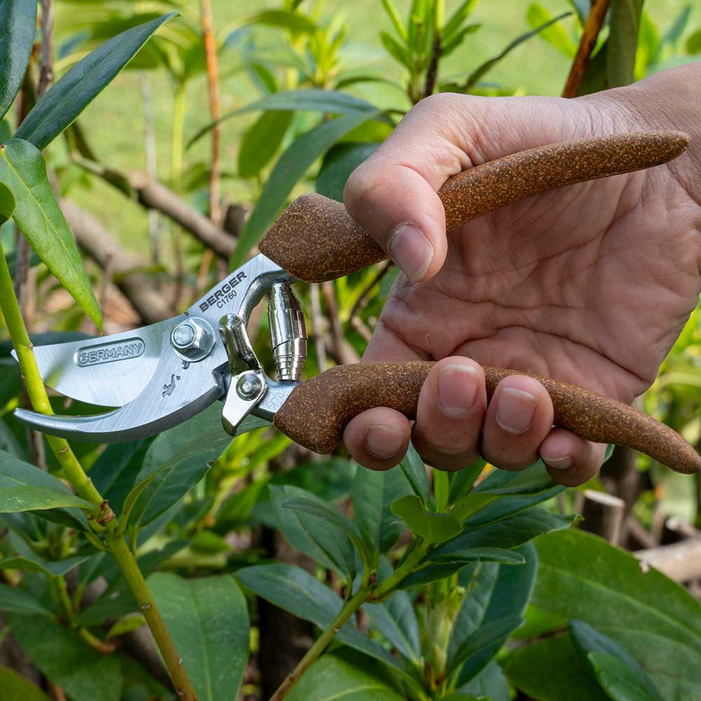 Now available in Australia through Cannings: Berger German-made hand shears with cork handles and a straight chrome-plated blade. Durable, ergonomic, and built for all-day pruning. 5