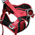 Red and black climbing harness with silver metal buckles and D-rings, shown on a plain white background. Buckinhgam AussieMasters