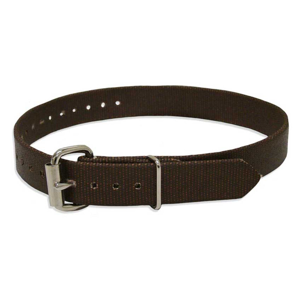 Buckingham 26" climber leg strap with adjustable buckle, designed for use as a top or bottom climber strap. Durable and suitable for arborist climbing systems.