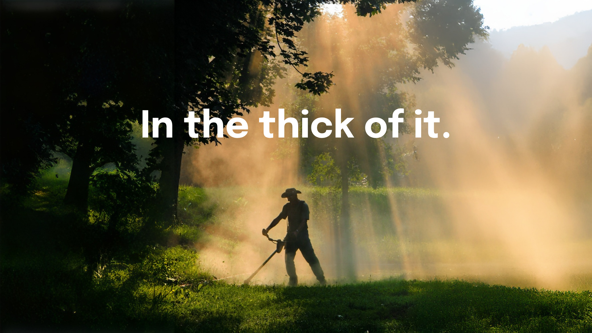 Gardener using a line trimmer in dusty morning light on a lawn edged by trees. Cannings Outdoor Power Equipment